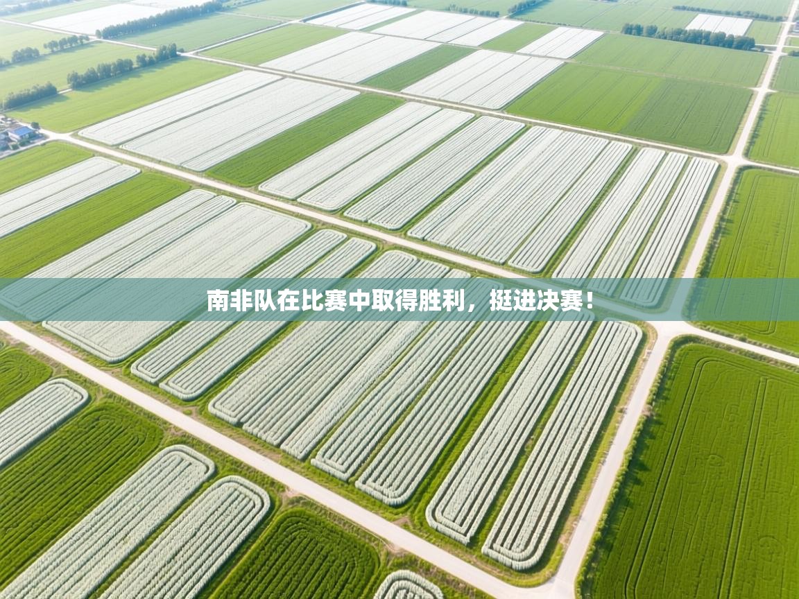 南非队在比赛中取得胜利,挺进决赛! 第1张